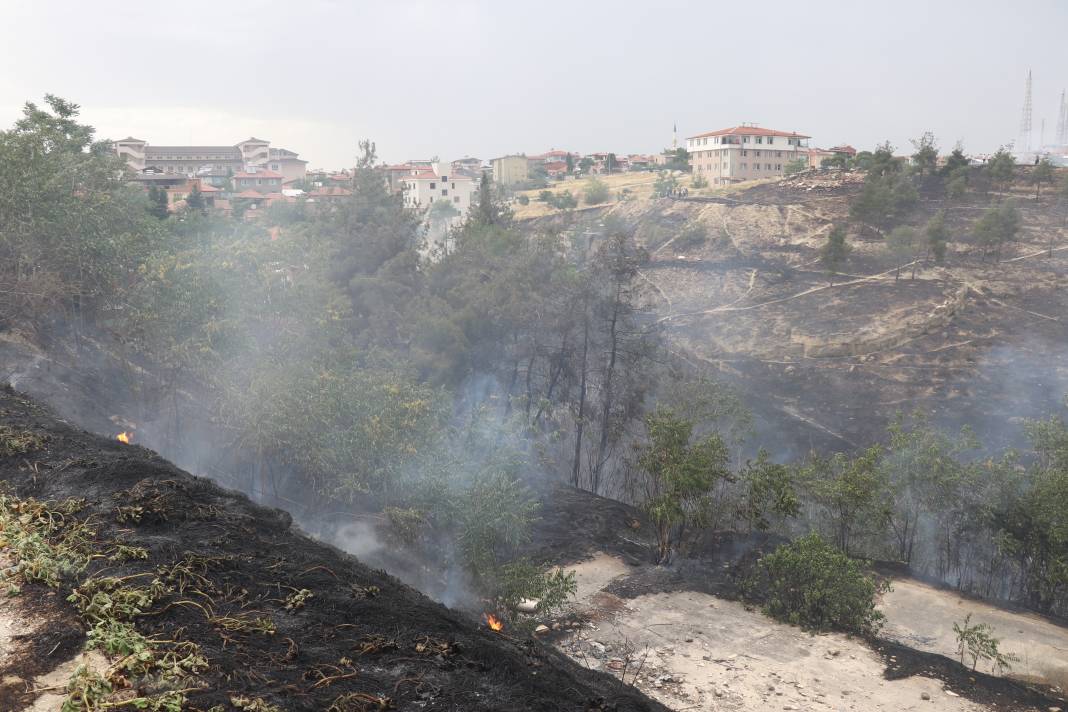 Pamukkale orman yangını! Hem havadan hem de karadan müdahale ediliyor 7